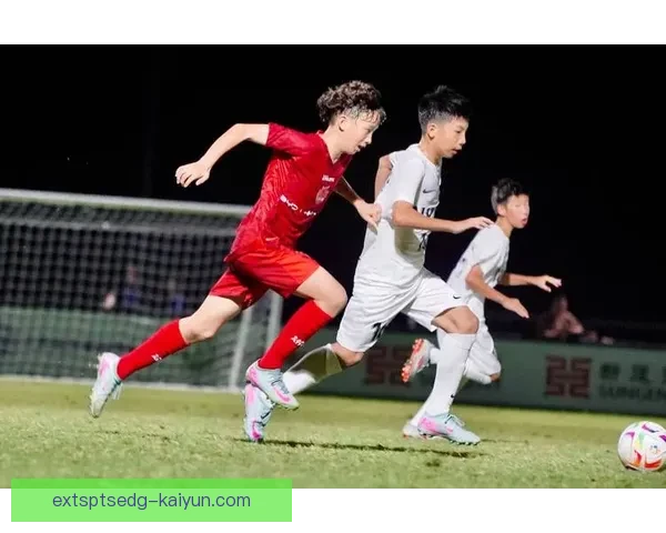 足球新星表现亮眼，未来之星的全面解析备受关注。