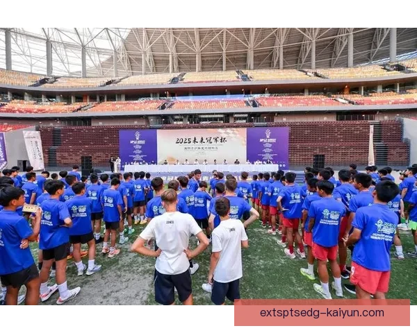 足球赛事方案引发关注，业内专家分析未来发展趋势